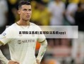 足球投注系统(足球投注系统app)