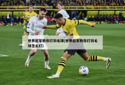 世界冠军教你打羽毛球(世界冠军教你打羽毛球怎么打)