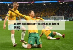 欧洲杯足球赛(欧洲杯足球赛2025赛程时间表)