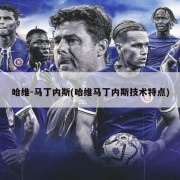 哈维-马丁内斯(哈维马丁内斯技术特点)