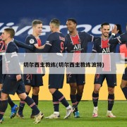 切尔西主教练(切尔西主教练波特)