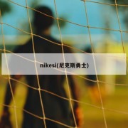 nikesi(尼克斯勇士)