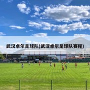 武汉卓尔足球队(武汉卓尔足球队赛程)