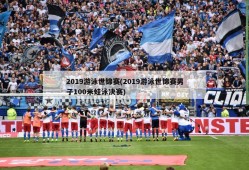 2019游泳世锦赛(2019游泳世锦赛男子100米蛙泳决赛)