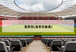 戈贝尔(戈贝尔身高)