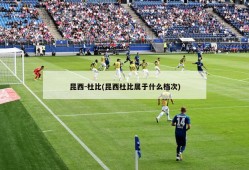 昆西-杜比(昆西杜比属于什么档次)