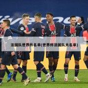法国队世界杯名单(世界杯法国队大名单)
