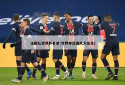 法国队世界杯名单(世界杯法国队大名单)