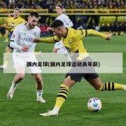 国内足球(国内足球运动员年薪)