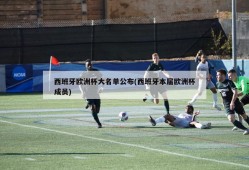 西班牙欧洲杯大名单公布(西班牙本届欧洲杯成员)