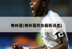 弗林蓬(弗林蓬转会最新消息)