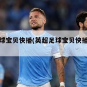 英超足球宝贝快播(英超足球宝贝快播在线观看)