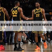 塞尔维亚对科索沃(塞尔维亚对科索沃的政策)