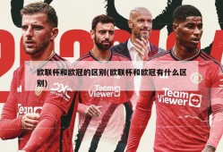 欧联杯和欧冠的区别(欧联杯和欧冠有什么区别)