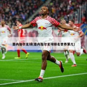 塞内加尔足球(塞内加尔足球排名世界第几)