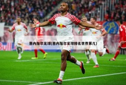 塞内加尔足球(塞内加尔足球排名世界第几)