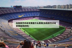 孙杨事件终身禁赛是什么原因(孙杨事件终身禁赛是真的吗)