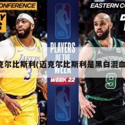 迈克尔比斯利(迈克尔比斯利是黑白混血吗)