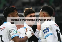 羽毛球场地规则(羽毛球场地规则图解 边界线)