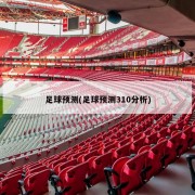 足球预测(足球预测310分析)