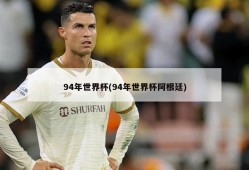 94年世界杯(94年世界杯阿根廷)