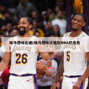 哈马德哈达迪(哈马德哈达迪在NBA的角色)