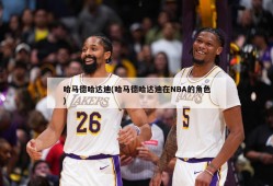 哈马德哈达迪(哈马德哈达迪在NBA的角色)