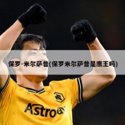 保罗-米尔萨普(保罗米尔萨普是鹰王吗)