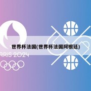世界杯法国(世界杯法国阿根廷)