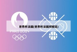 世界杯法国(世界杯法国阿根廷)