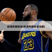 欧洲杯西班牙(欧洲杯西班牙法国)