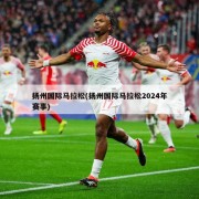 扬州国际马拉松(扬州国际马拉松2024年赛事)
