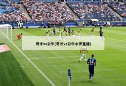 奇才vs公牛(奇才vs公牛小罗直播)
