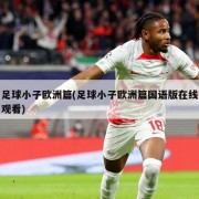 足球小子欧洲篇(足球小子欧洲篇国语版在线观看)