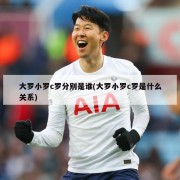 大罗小罗c罗分别是谁(大罗小罗c罗是什么关系)