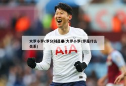 大罗小罗c罗分别是谁(大罗小罗c罗是什么关系)