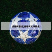 世界杯录播(世界杯足球录像)