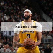 足球(足球比分 捷报网)