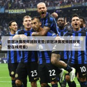 欧冠决赛视频回放完整(欧冠决赛视频回放完整在线观看)