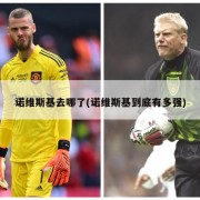 诺维斯基去哪了(诺维斯基到底有多强)
