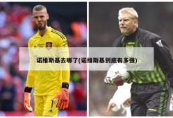 诺维斯基去哪了(诺维斯基到底有多强)