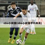 nba小前锋(nba小前锋平均身高)