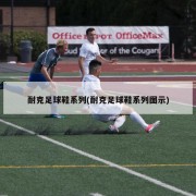 耐克足球鞋系列(耐克足球鞋系列图示)
