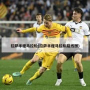 拉萨半程马拉松(拉萨半程马拉松路线图)