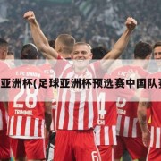足球亚洲杯(足球亚洲杯预选赛中国队赛程)