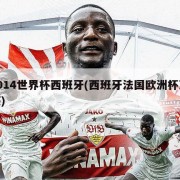 2014世界杯西班牙(西班牙法国欧洲杯决赛)