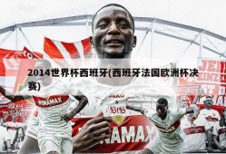 2014世界杯西班牙(西班牙法国欧洲杯决赛)