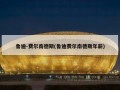 鲁迪-费尔南德斯(鲁迪费尔南德斯年薪)