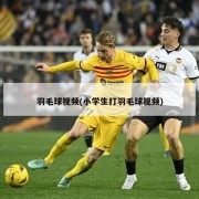 羽毛球视频(小学生打羽毛球视频)