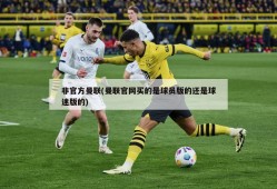 非官方曼联(曼联官网买的是球员版的还是球迷版的)